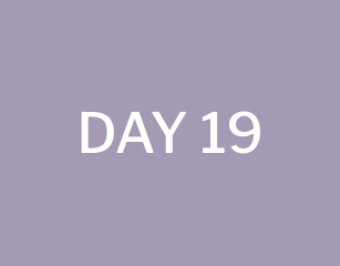 day 19