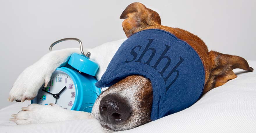 Tips For A Great Night's Sleep